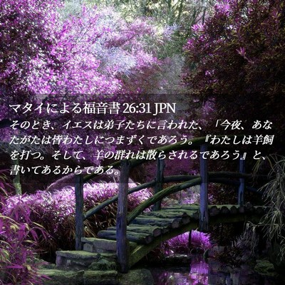 Picture 02 - マタイによる福音書 26:31 JPN - そのとき、イエスは弟子たちに言わ - Bible Verse Picture