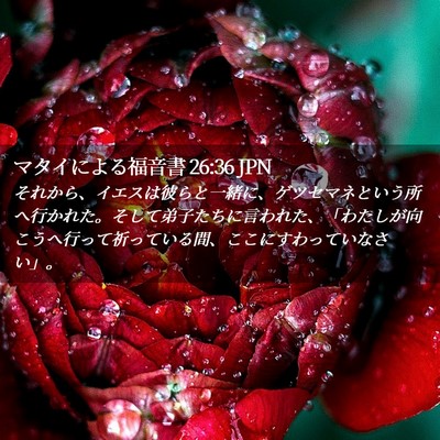 Picture 02 - マタイによる福音書 26:36 JPN - それから、イエスは彼らと一緒に、 - Bible Verse Picture