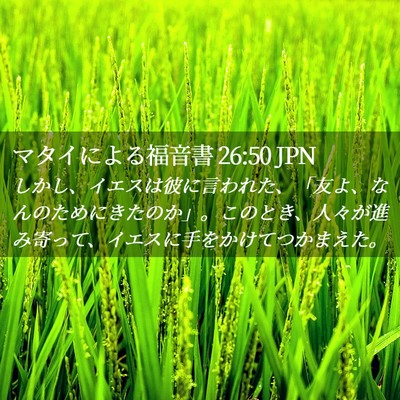 Picture 02 - マタイによる福音書 26:50 JPN - しかし、イエスは彼に言われた、「 - Bible Verse Picture