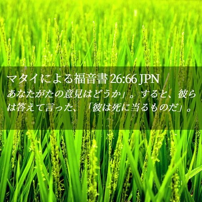 Picture 02 - マタイによる福音書 26:66 JPN - あなたがたの意見はどうか」。する - Bible Verse Picture