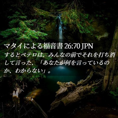 Picture 02 - マタイによる福音書 26:70 JPN - するとペテロは、みんなの前でそれ - Bible Verse Picture
