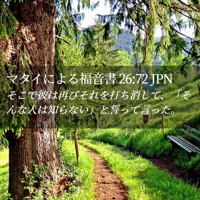 Picture 02 - マタイによる福音書 26:72 JPN - そこで彼は再びそれを打ち消して、 - Bible Verse Picture