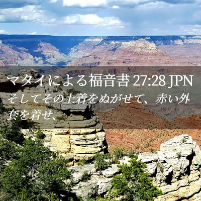 Picture 02 - マタイによる福音書 27:28 JPN - そしてその上着をぬがせて、赤い外 - Bible Verse Picture
