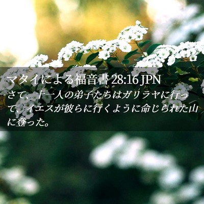 Picture 02 - マタイによる福音書 28:16 JPN - さて、十一人の弟子たちはガリラヤ - Bible Verse Picture