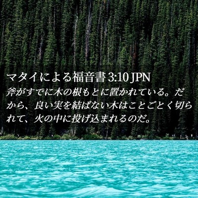 Picture 02 - マタイによる福音書 3:10 JPN - 斧がすでに木の根もとに置かれてい - Bible Verse Picture