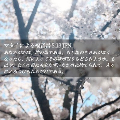 Picture 02 - マタイによる福音書 5:13 JPN - あなたがたは、地の塩である。もし - Bible Verse Picture
