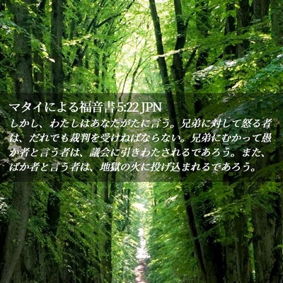Picture 02 - マタイによる福音書 5:22 JPN - しかし、わたしはあなたがたに言う - Bible Verse Picture