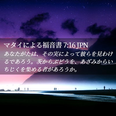Picture 02 - マタイによる福音書 7:16 JPN - あなたがたは、その実によって彼ら - Bible Verse Picture