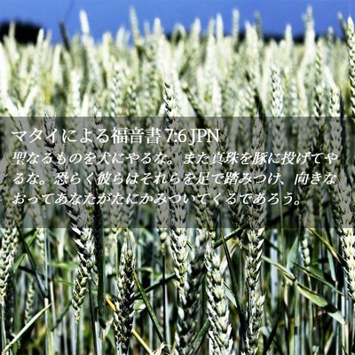 Picture 02 - マタイによる福音書 7:6 JPN - 聖なるものを犬にやるな。また真珠 - Bible Verse Picture