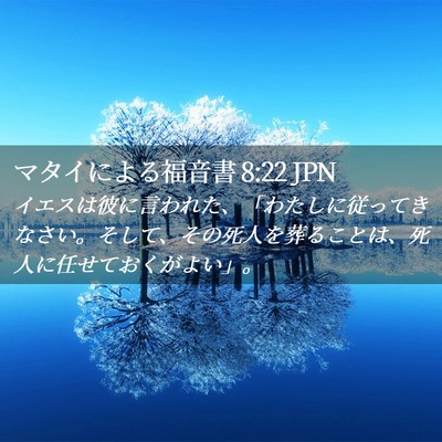 Picture 02 - マタイによる福音書 8:22 JPN - イエスは彼に言われた、「わたしに - Bible Verse Picture