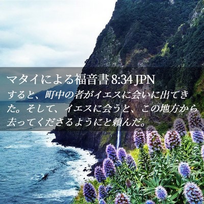 Picture 02 - マタイによる福音書 8:34 JPN - すると、町中の者がイエスに会いに - Bible Verse Picture