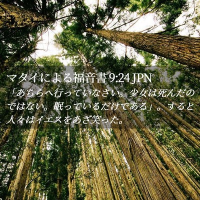 Picture 02 - マタイによる福音書 9:24 JPN - 「あちらへ行っていなさい。少女は - Bible Verse Picture