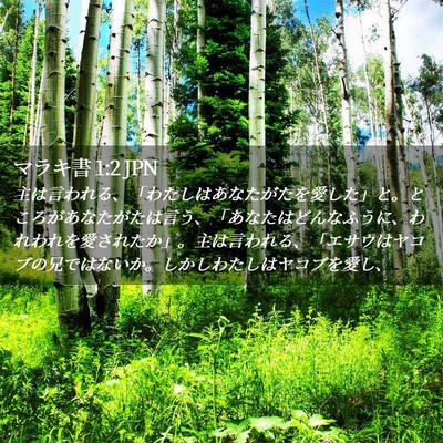 Picture 02 - マラキ書 1:2 JPN - 主は言われる、「わたしはあなたが - Bible Verse Picture