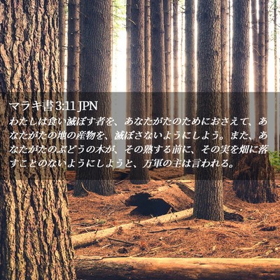 Picture 02 - マラキ書 3:11 JPN - わたしは食い滅ぼす者を、あなたが - Bible Verse Picture