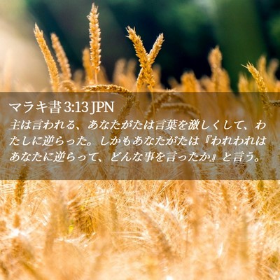 Picture 02 - マラキ書 3:13 JPN - 主は言われる、あなたがたは言葉を - Bible Verse Picture