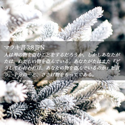 Picture 02 - マラキ書 3:8 JPN - 人は神の物を盗むことをするだろう - Bible Verse Picture