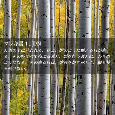 Picture 02 - マラキ書 4:1 JPN - 万軍の主は言われる、見よ、炉のよ - Bible Verse Picture