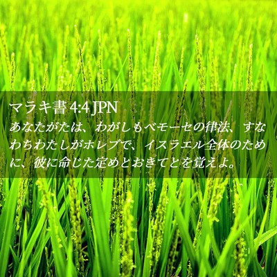 Picture 02 - マラキ書 4:4 JPN - あなたがたは、わがしもべモーセの - Bible Verse Picture