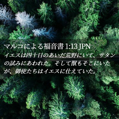 Picture 02 - マルコによる福音書 1:13 JPN - イエスは四十日のあいだ荒野にいて - Bible Verse Picture