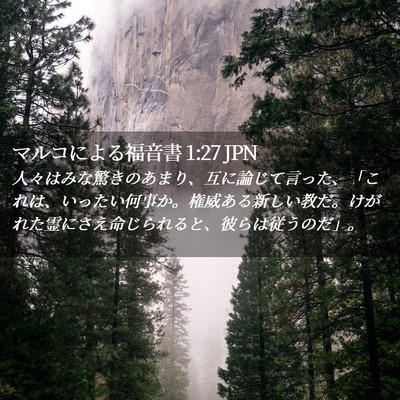 Picture 02 - マルコによる福音書 1:27 JPN - 人々はみな驚きのあまり、互に論じ - Bible Verse Picture