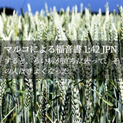 Picture 02 - マルコによる福音書 1:42 JPN - すると、らい病が直ちに去って、そ - Bible Verse Picture