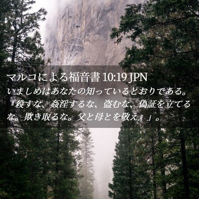 Picture 02 - マルコによる福音書 10:19 JPN - いましめはあなたの知っているとお - Bible Verse Picture