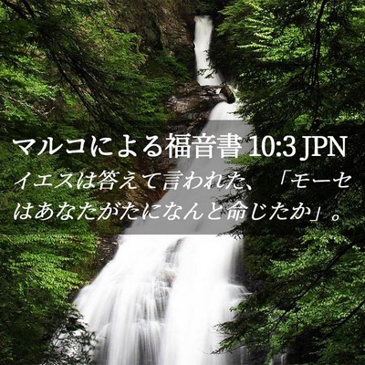 Picture 02 - マルコによる福音書 10:3 JPN - イエスは答えて言われた、「モーセ - Bible Verse Picture