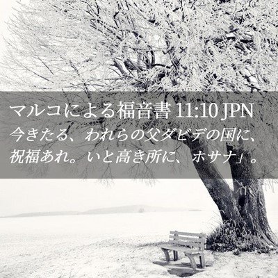 Picture 02 - マルコによる福音書 11:10 JPN - 今きたる、われらの父ダビデの国に - Bible Verse Picture