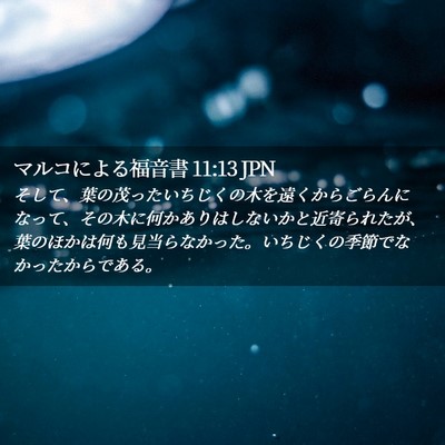 Picture 02 - マルコによる福音書 11:13 JPN - そして、葉の茂ったいちじくの木を - Bible Verse Picture