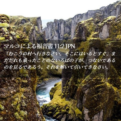 Picture 02 - マルコによる福音書 11:2 JPN - 「むこうの村へ行きなさい。そこに - Bible Verse Picture