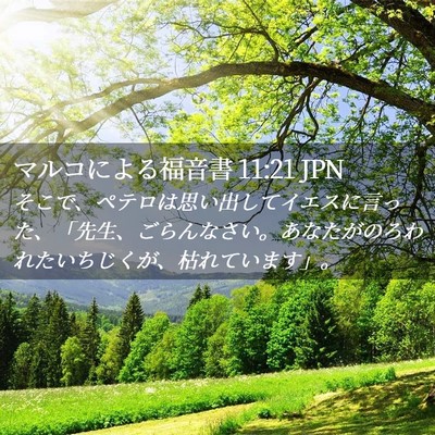 Picture 02 - マルコによる福音書 11:21 JPN - そこで、ペテロは思い出してイエス - Bible Verse Picture