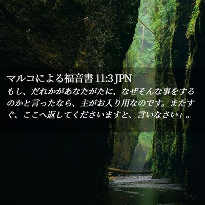 Picture 02 - マルコによる福音書 11:3 JPN - もし、だれかがあなたがたに、なぜ - Bible Verse Picture