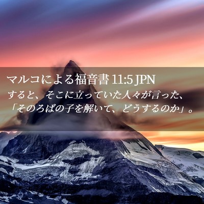 Picture 02 - マルコによる福音書 11:5 JPN - すると、そこに立っていた人々が言 - Bible Verse Picture