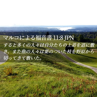 Picture 02 - マルコによる福音書 11:8 JPN - すると多くの人々は自分たちの上着 - Bible Verse Picture