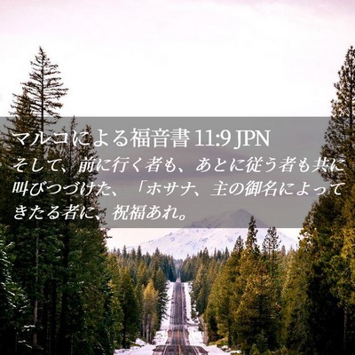 Picture 02 - マルコによる福音書 11:9 JPN - そして、前に行く者も、あとに従う - Bible Verse Picture