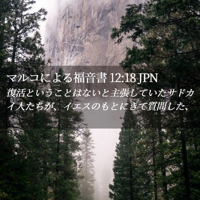 Picture 02 - マルコによる福音書 12:18 JPN - 復活ということはないと主張してい - Bible Verse Picture