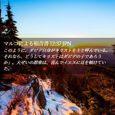Picture 02 - マルコによる福音書 12:37 JPN - このように、ダビデ自身がキリスト - Bible Verse Picture