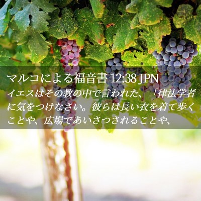 Picture 02 - マルコによる福音書 12:38 JPN - イエスはその教の中で言われた、「 - Bible Verse Picture