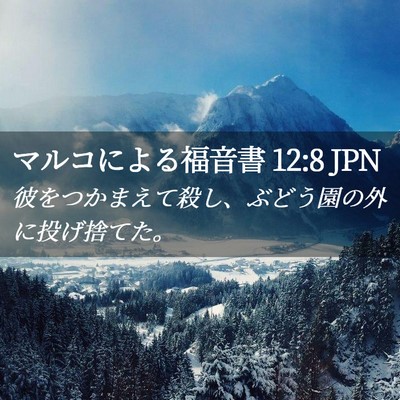 Picture 02 - マルコによる福音書 12:8 JPN - 彼をつかまえて殺し、ぶどう園の外 - Bible Verse Picture