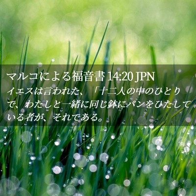 Picture 02 - マルコによる福音書 14:20 JPN - イエスは言われた、「十二人の中の - Bible Verse Picture