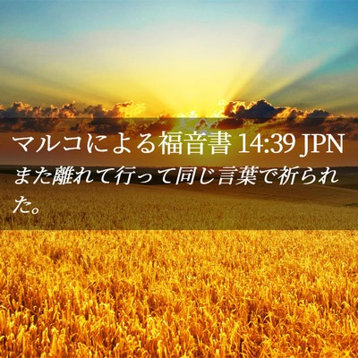 Picture 02 - マルコによる福音書 14:39 JPN - また離れて行って同じ言葉で祈られ - Bible Verse Picture