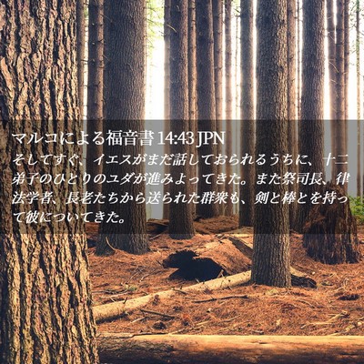 Picture 02 - マルコによる福音書 14:43 JPN - そしてすぐ、イエスがまだ話してお - Bible Verse Picture