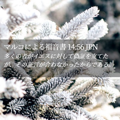 Picture 02 - マルコによる福音書 14:56 JPN - 多くの者がイエスに対して偽証を立 - Bible Verse Picture