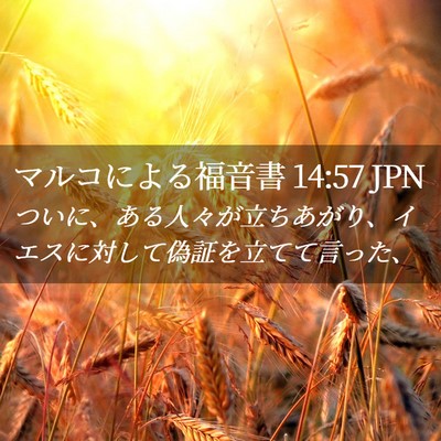 Picture 02 - マルコによる福音書 14:57 JPN - ついに、ある人々が立ちあがり、イ - Bible Verse Picture