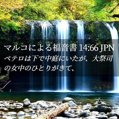 Picture 02 - マルコによる福音書 14:66 JPN - ペテロは下で中庭にいたが、大祭司 - Bible Verse Picture