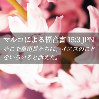 Picture 02 - マルコによる福音書 15:3 JPN - そこで祭司長たちは、イエスのこと - Bible Verse Picture
