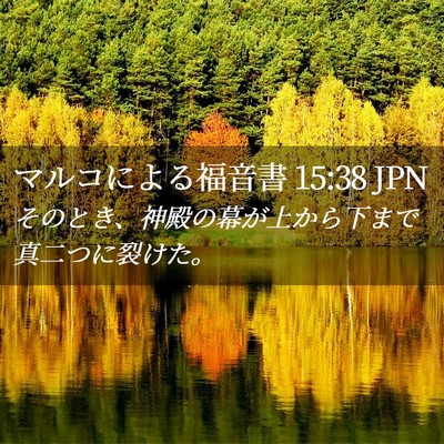 Picture 02 - マルコによる福音書 15:38 JPN - そのとき、神殿の幕が上から下まで - Bible Verse Picture