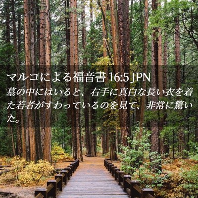 Picture 02 - マルコによる福音書 16:5 JPN - 墓の中にはいると、右手に真白な長 - Bible Verse Picture