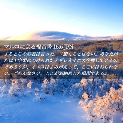 Picture 02 - マルコによる福音書 16:6 JPN - するとこの若者は言った、「驚くこ - Bible Verse Picture