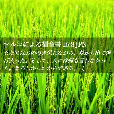 Picture 02 - マルコによる福音書 16:8 JPN - 女たちはおののき恐れながら、墓か - Bible Verse Picture